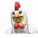 Niwatorio