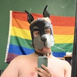 Dumb9dog