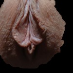 AurAnnA