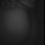 ThiccYoungMilf
