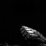 Helathedarkgirl