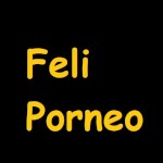 Felipornero624