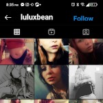 Luluxbean