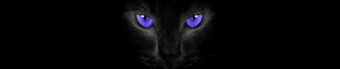 CatCrazeePurple