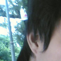 Avatar Utente