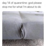 FuckDudeON