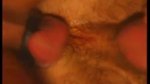 Playlist Thumb 118222191-1