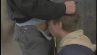 "suck my dick, boy"