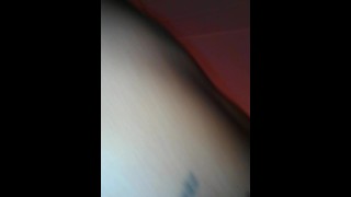 この猫はあなたのために掃除されます