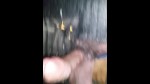 播放列表 Thumb 104261392-1