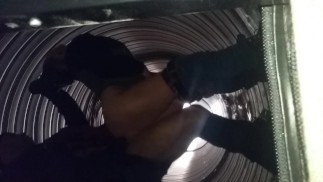tunnel nut bust two