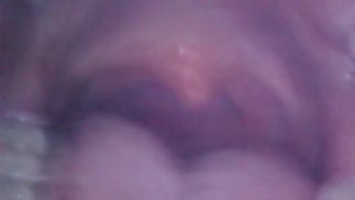 ♥ ♡ ♥ VORE / SNAKE CAM TEST - HELP! ♥