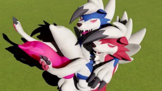 Lycanroc Kurwa