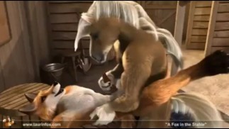 Vidéos d’anime furry 2