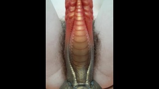 lèvres de chatte poilue agrippent le bad dragon