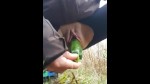 播放列表 Thumb 207603391-1