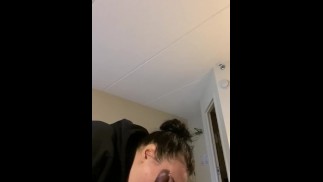 Boston thot ssie niechlujnie z jaskółką 