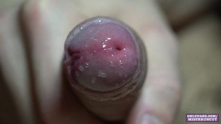 POLLA SIN CORTAR LLENA DE PRECUM (PRIMER PLANO) (4K)