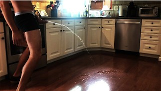 HOUSESITTING III - ПИСАНИЕ НА ВЕСЬ КУХОННЫЙ ПОЛ!!