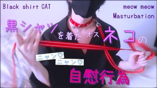 Masturbation "Meow ♡ Meow ♡" d'un chat mâle portant une chemise noire. Collier / Plomb / Cosplay