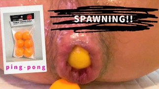 Een Japanse man gebruikte een pingpongbal om in zijn kontgaatje te spawn. [HD-kwaliteit