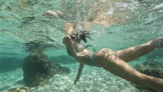 Ha tolto una giovane cagna in riva al mare. La carina non si aspettava che dopo l'incontro sarebbe stata
