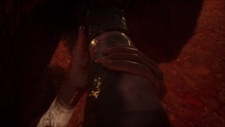 Minotaur FPOVに犠牲にされた