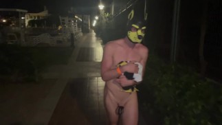 Vergrendelde puppy Naked wandeling