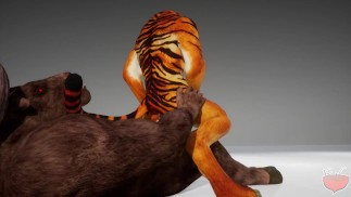 Tigre se fait pilonner par Minotaur