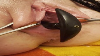 広がった猫から膨脹可能なプラグを出産-クローズアップ