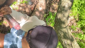 Pik zuigen op een picknick buiten