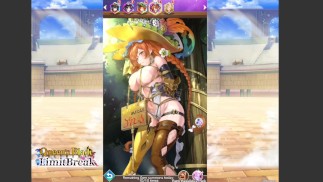 Queen's Blade Limit Break Robin Dieb des Lichts Fanservice Würdigung