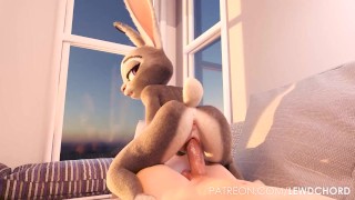 Compilation di animazioni Furry Yiff 3