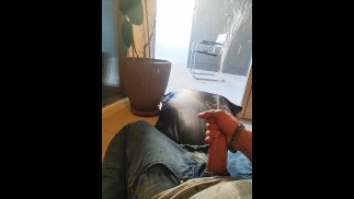 私の植物と枕のおしっこ絶望