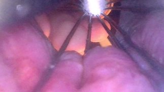 POV: Whisk in my Ass while you're inside - Preview