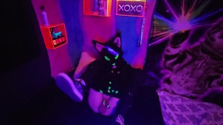 路地猫は新しいおもちゃで足を引き離します