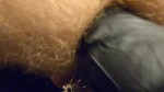 Afspeellijst thumbnail 337948601-1