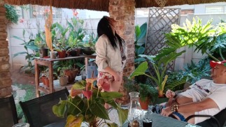 相互オナニー